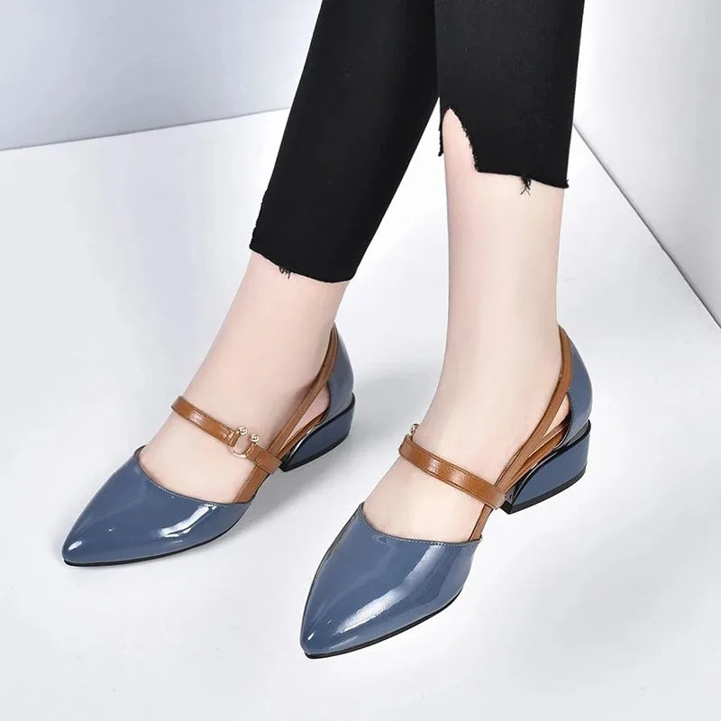 Classy Pointed Toe Shoes