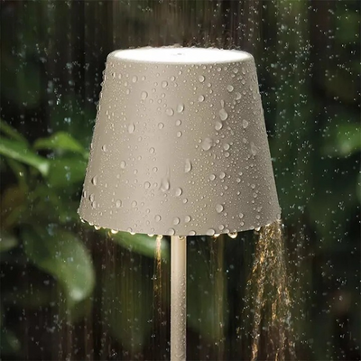 Diving Lighting Table Lamp