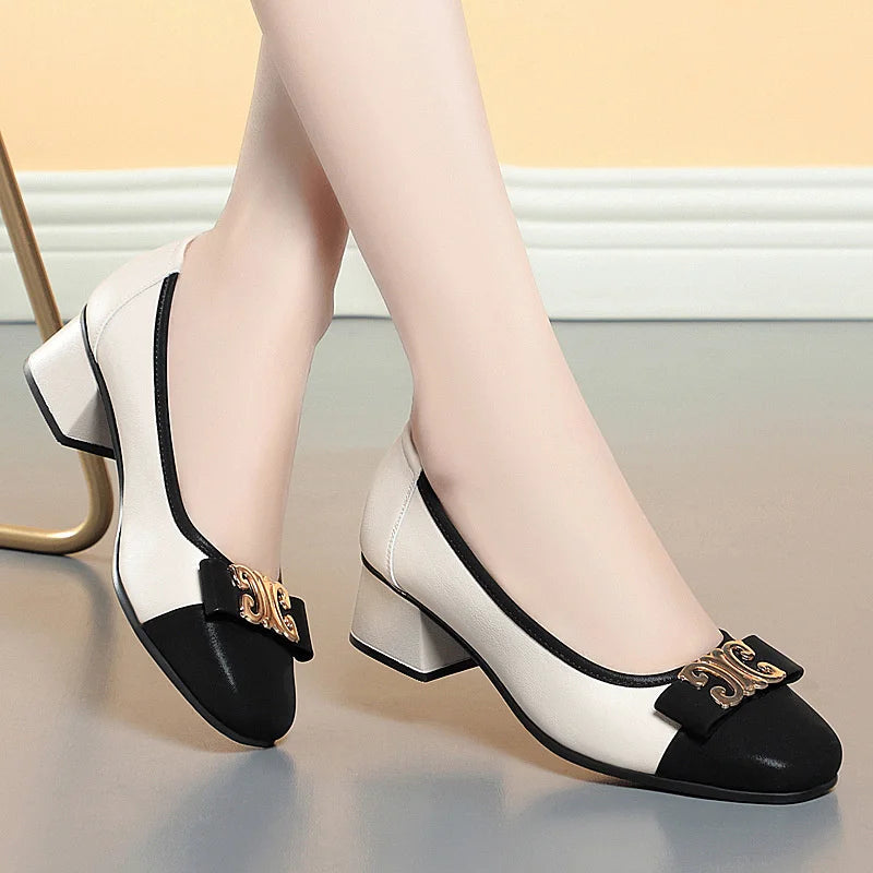 Elegance Low Heel Shoes