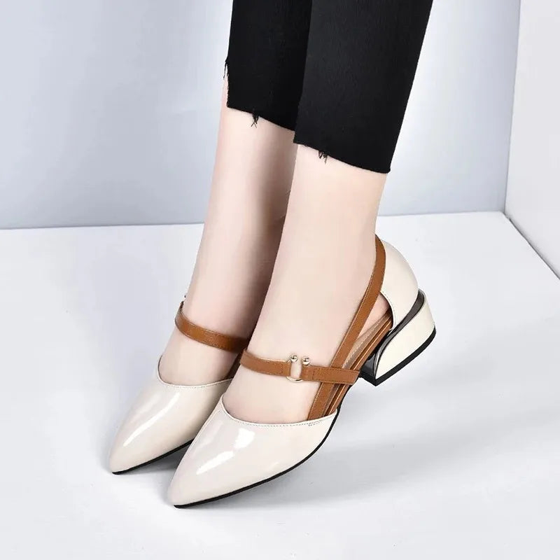 Classy Pointed Toe Shoes