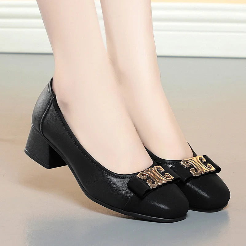 Elegance Low Heel Shoes